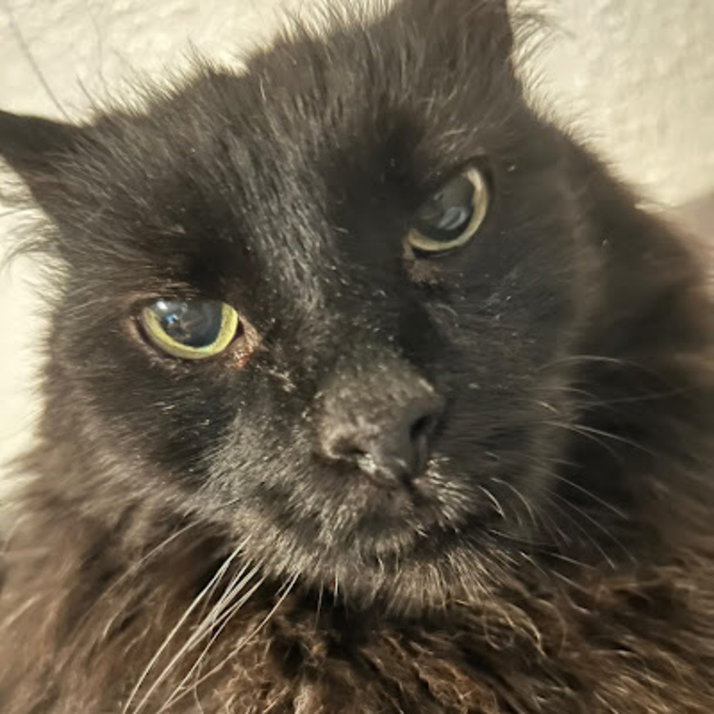 Meet your Posher, Hadyn